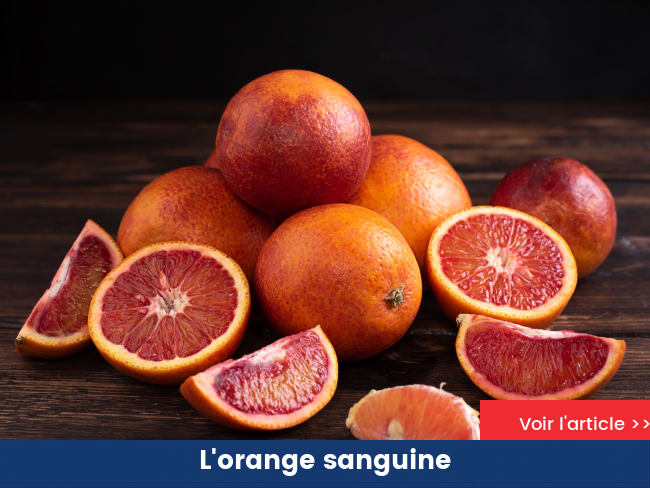 L'orange sanguine